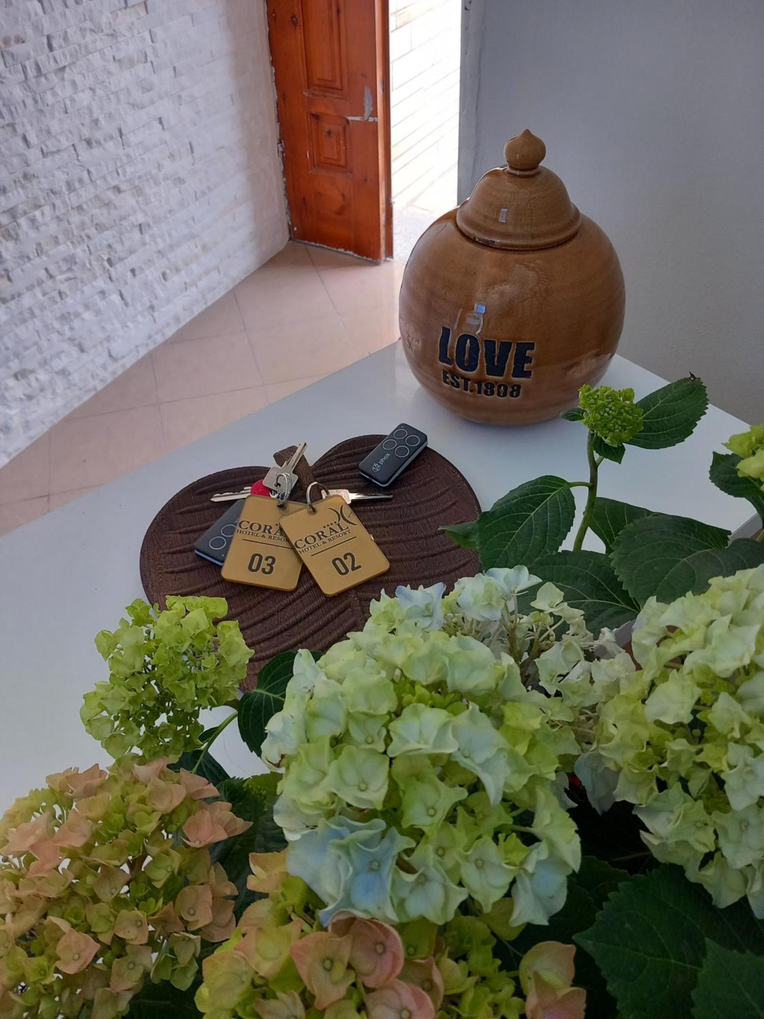 Villa Ida Apartments Vlorë Extérieur photo