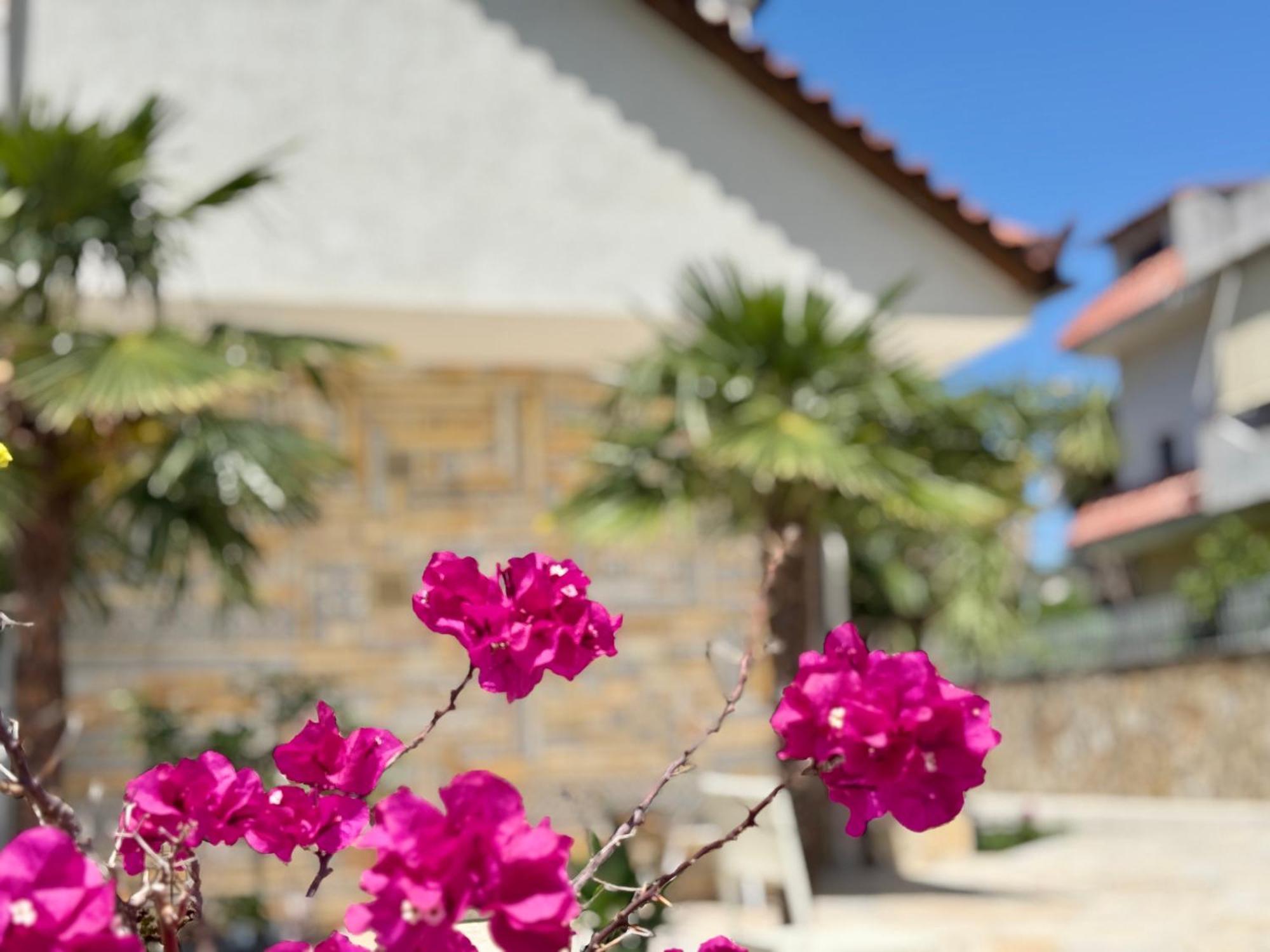 Villa Ida Apartments Vlorë Extérieur photo